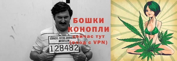 гидра Волосово