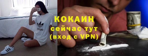 шишки Володарск