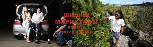 ALPHA PVP Вязники