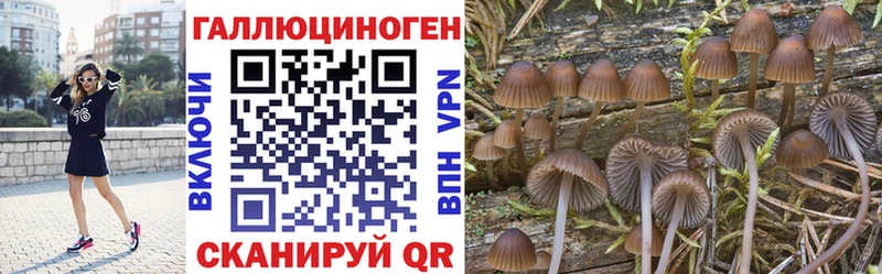 Купить где  Комсомольск  Галлюциногенные грибы прущие грибы 